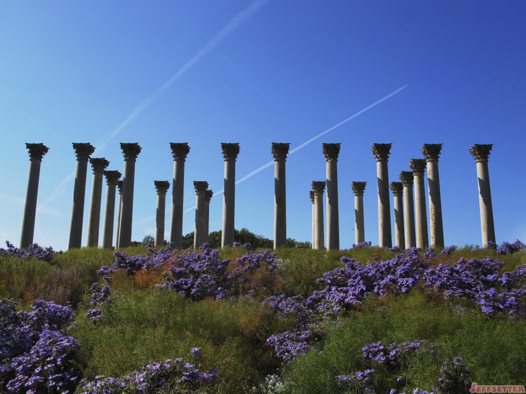 [Friday Photo] Original US Capitol Columns at the National Arboretum