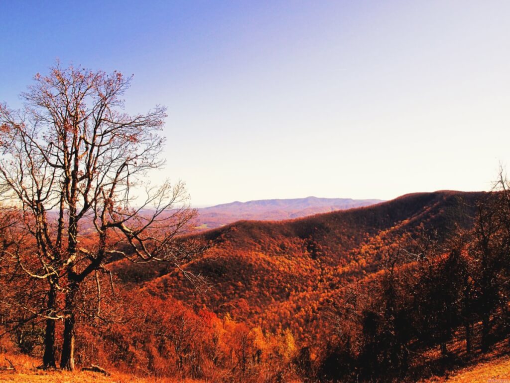 [Friday Photo] Fall Colors on the Blue Ridge Parkway