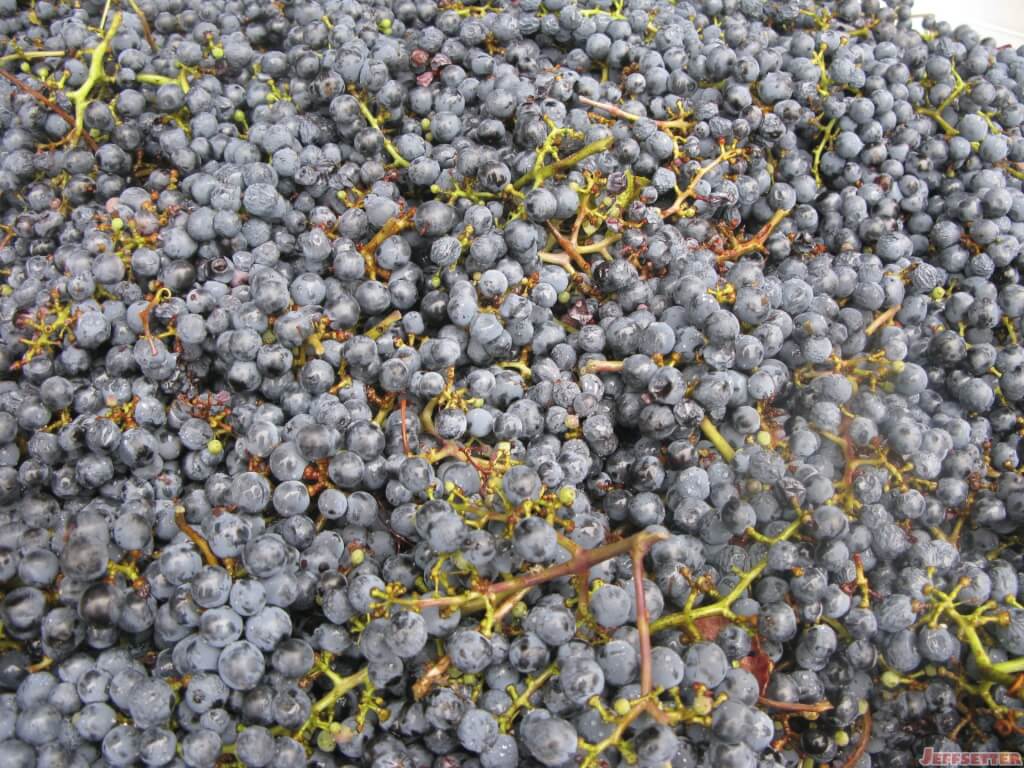 [Friday Photo] Grape Harvest and Crush in California Wine Country