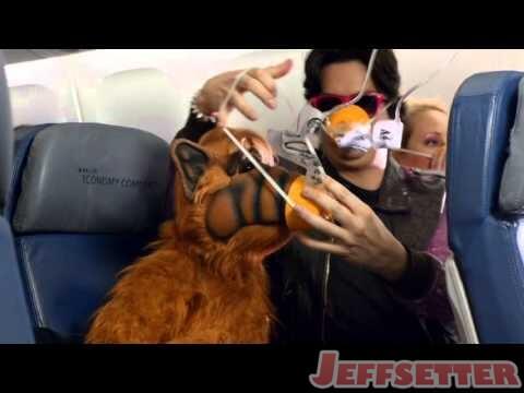 Delta 1980s Throwback Flight Safety Video: You Had Me at ALF