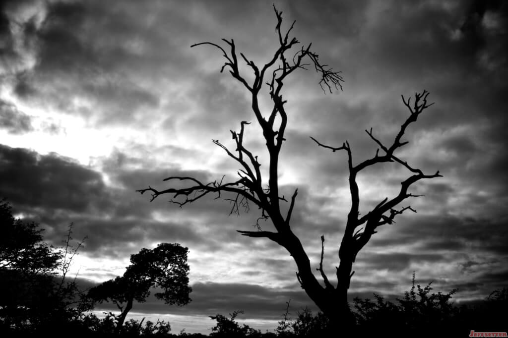 Black and White Overcast Sky in South Africa [Photo of the Week]