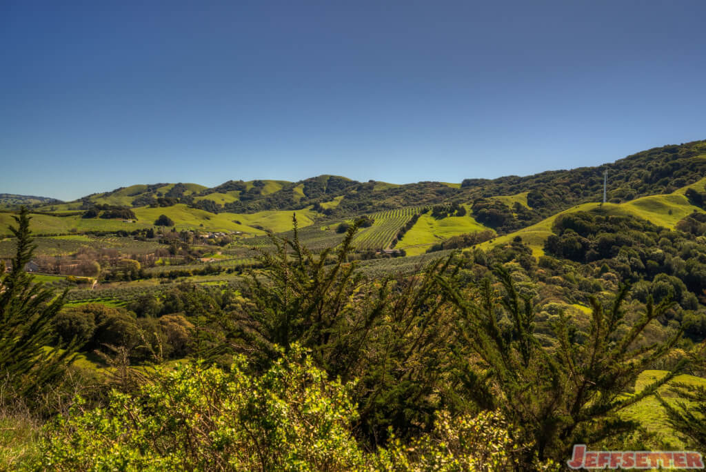 Beautiful Green Farmland in Marin County