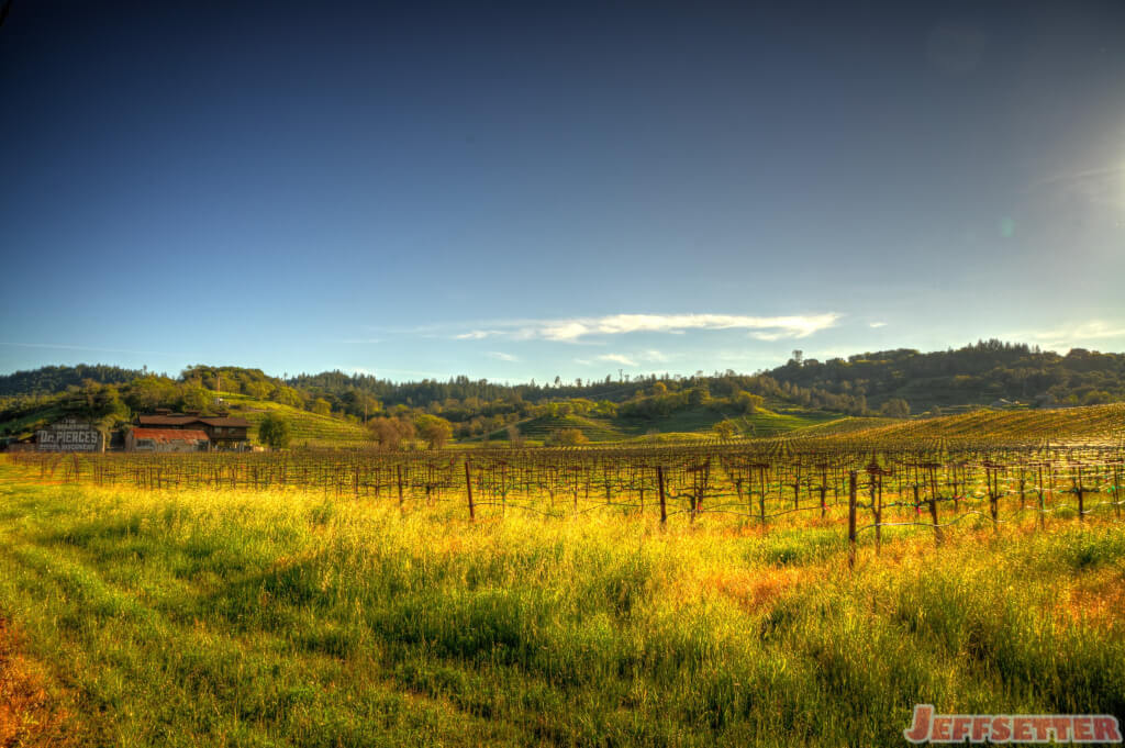 Barn and Fields outside of Healdsburg, California
