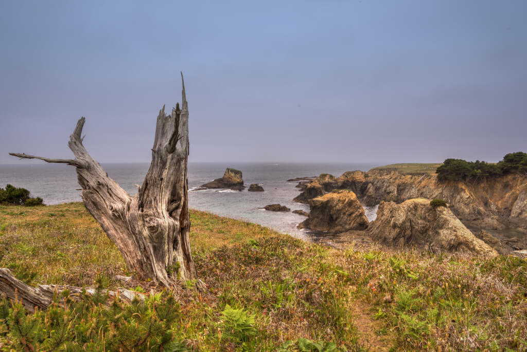 Our Own Private Cliff on the Mendocino Coast - Highway 1 in California