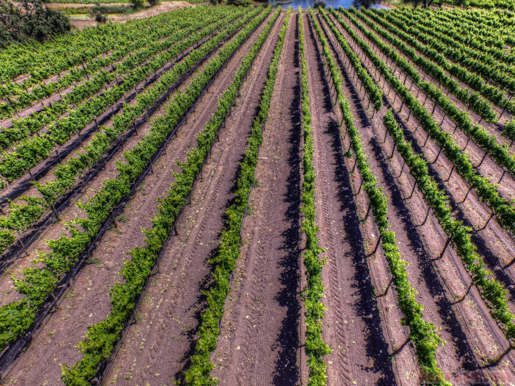 First 4K Video With my New Drone: DJI Phantom 3 Pro over Napa Wine Country