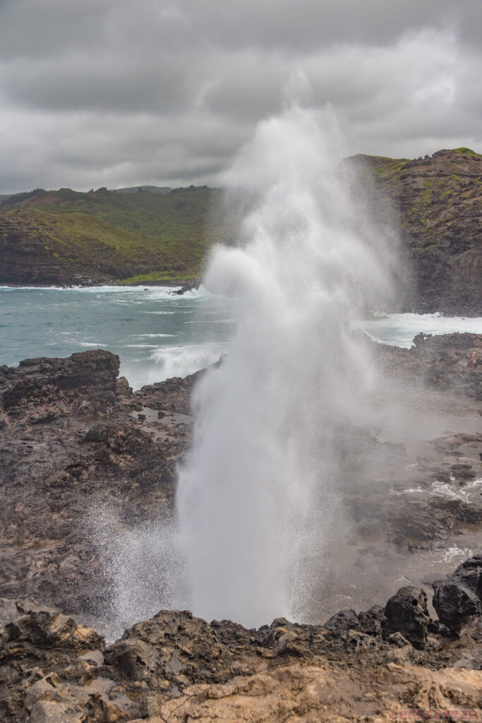 Blowhole