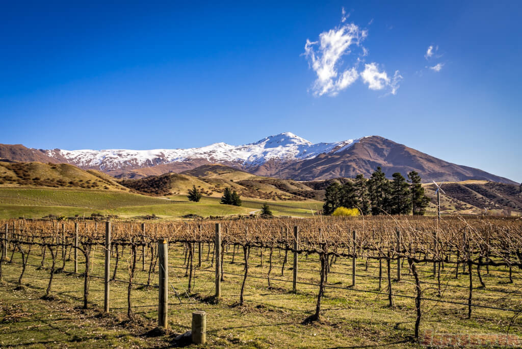 Central Otago Wine Country and Exploring New Zealand: My Week in Travel for September 14