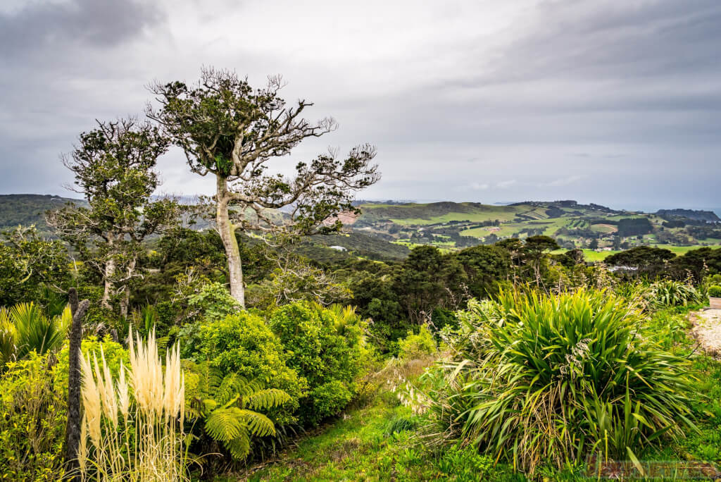 Wineries: Batch Winery Waiheke Island