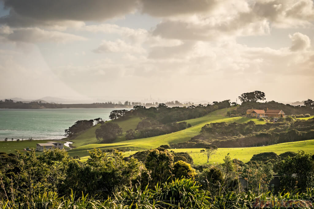Wineries: Cable Bay Vineyards Waiheke Island