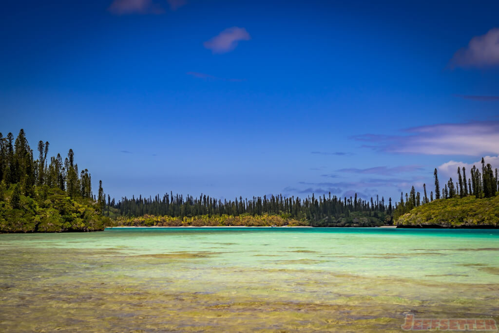 Greetings from the Isle of Pines
