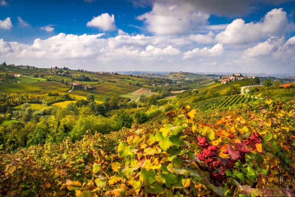 Greetings from Piedmont, Italy