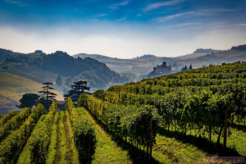 A Castle in the Rolling Hills of Barolo, Italy