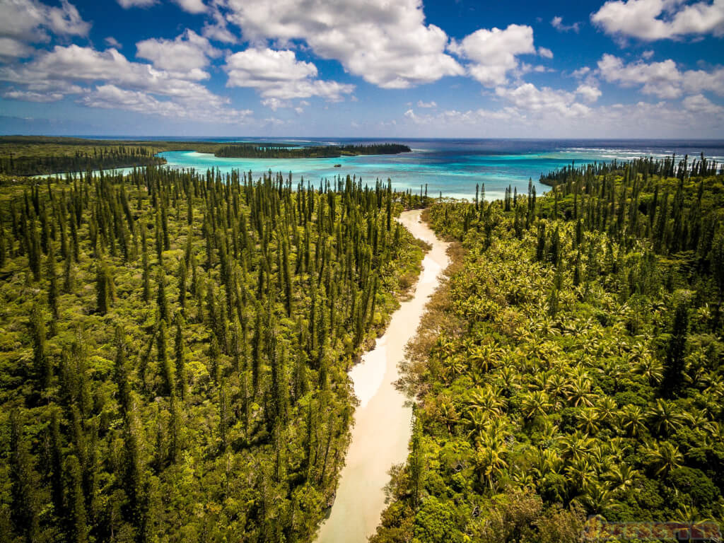 Aerial View of the Isle of Pines in New Caledonia