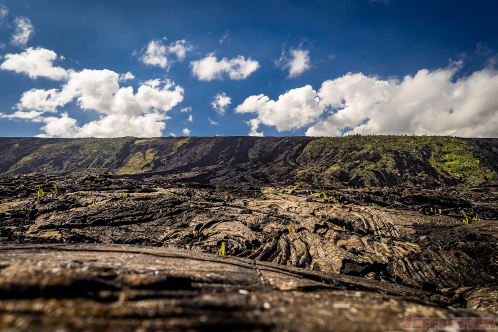 Lava Fields in Hawai'i Volcanoes National Park