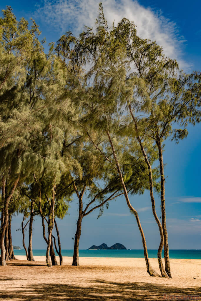 Waimanalo Beach