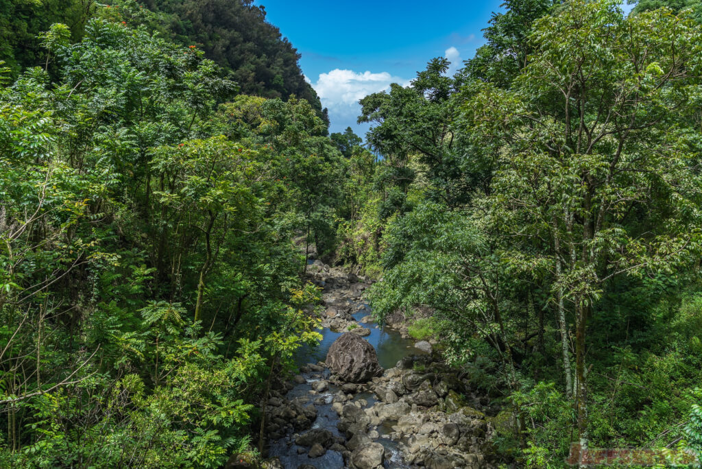 Road to Hana_2