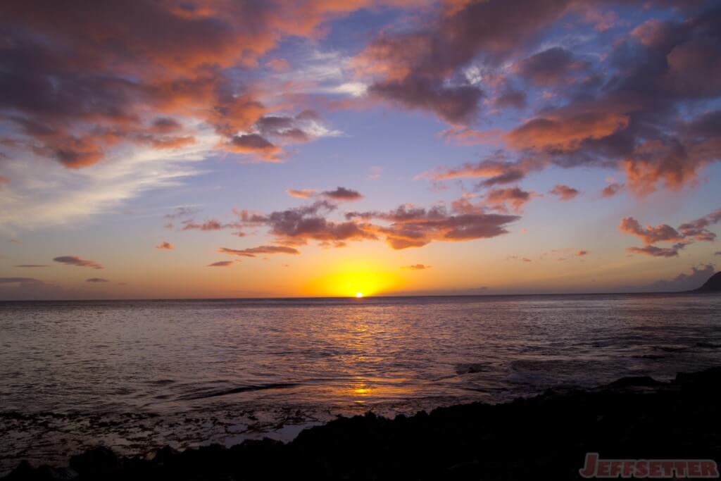 Happy Aloha Friday!