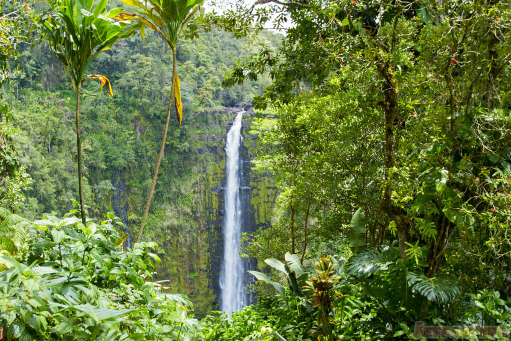 Akaka Falls State Park