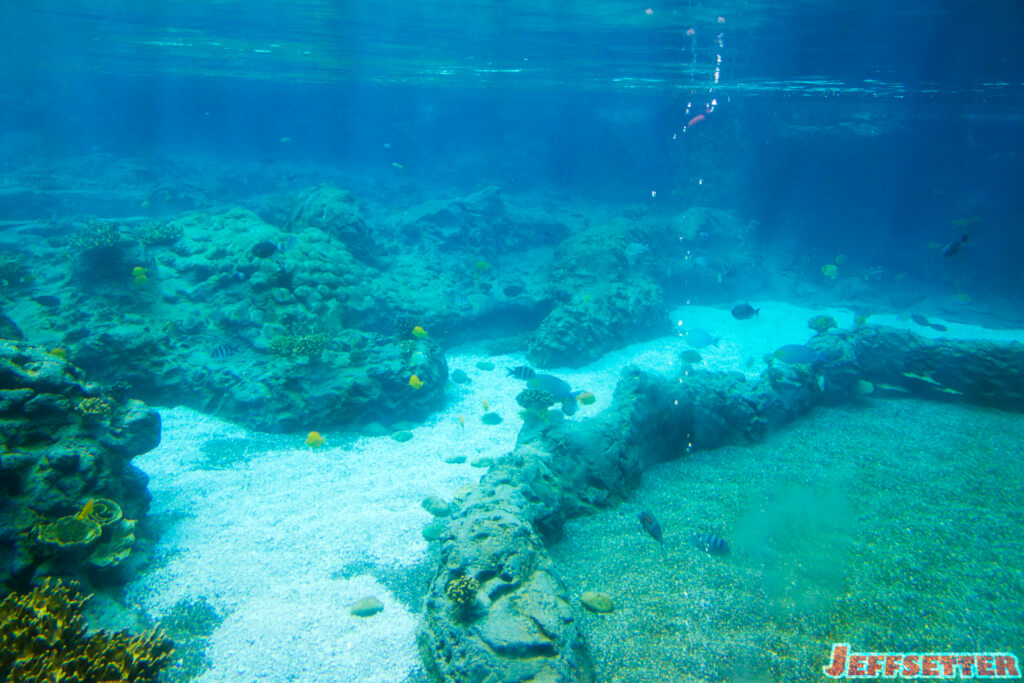 Rainbow Reef-2