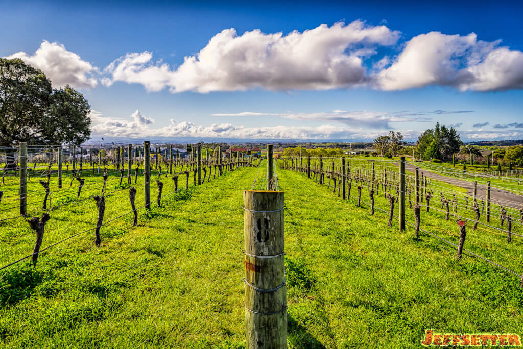 New Zealand Road Trip - Martinborough [Wine Region]