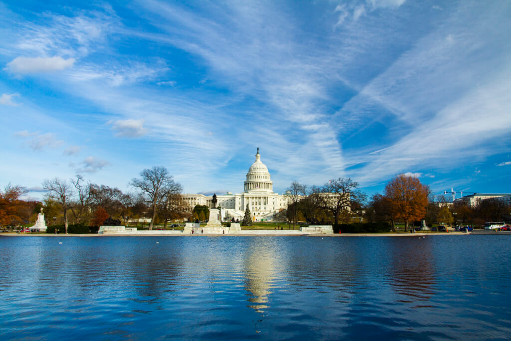 DC Day Trip: National Zoo, Natural History, Aviation