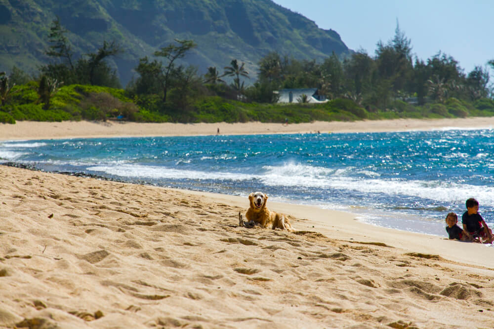 Hawaii King Tides May Cause Coastal Flooding