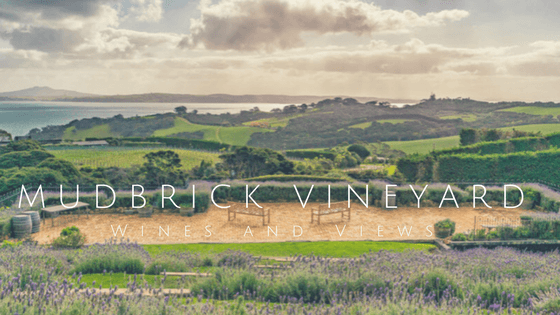 Wineries: Mudbrick Vineyard Waiheke Island