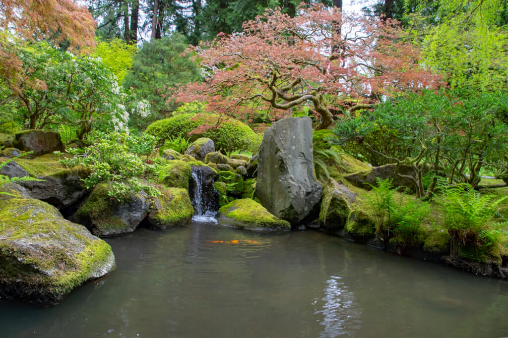 Review: Portland Japanese Garden