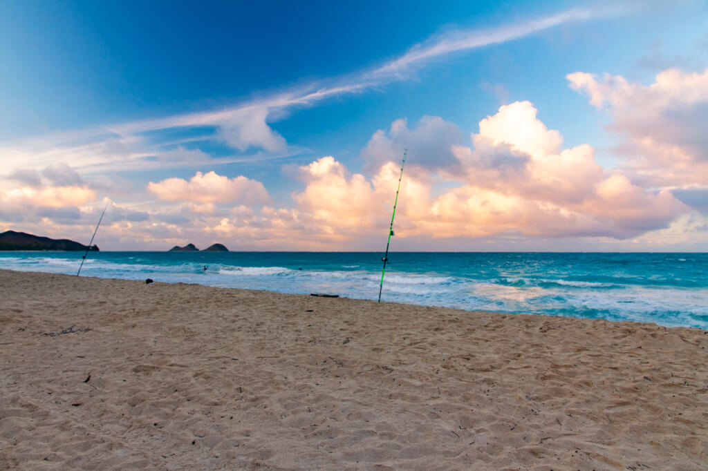 Honolulu Enters Tier 2 of  the Reopening Strategy