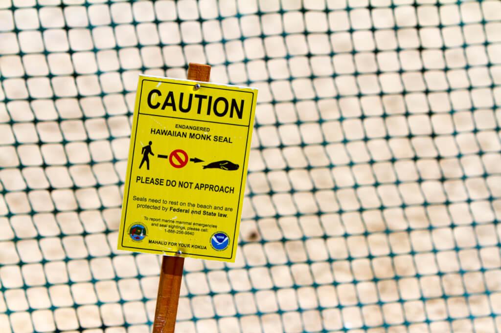 PSA: Touching Protected Species is a Felony