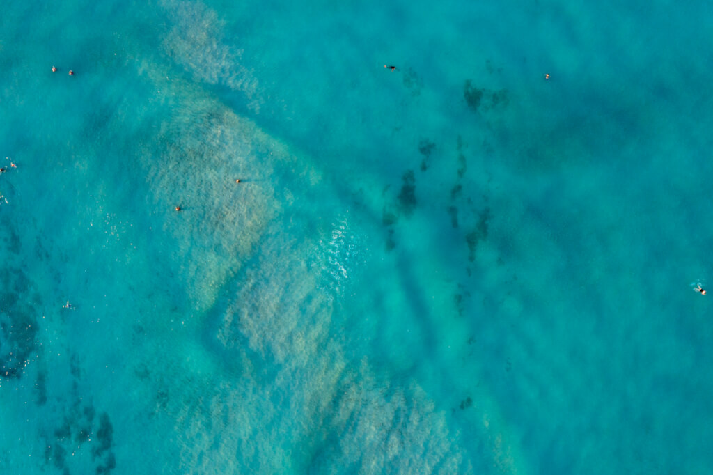 NOAA Bans Swimming with Hawaiian Spinner Dolphins