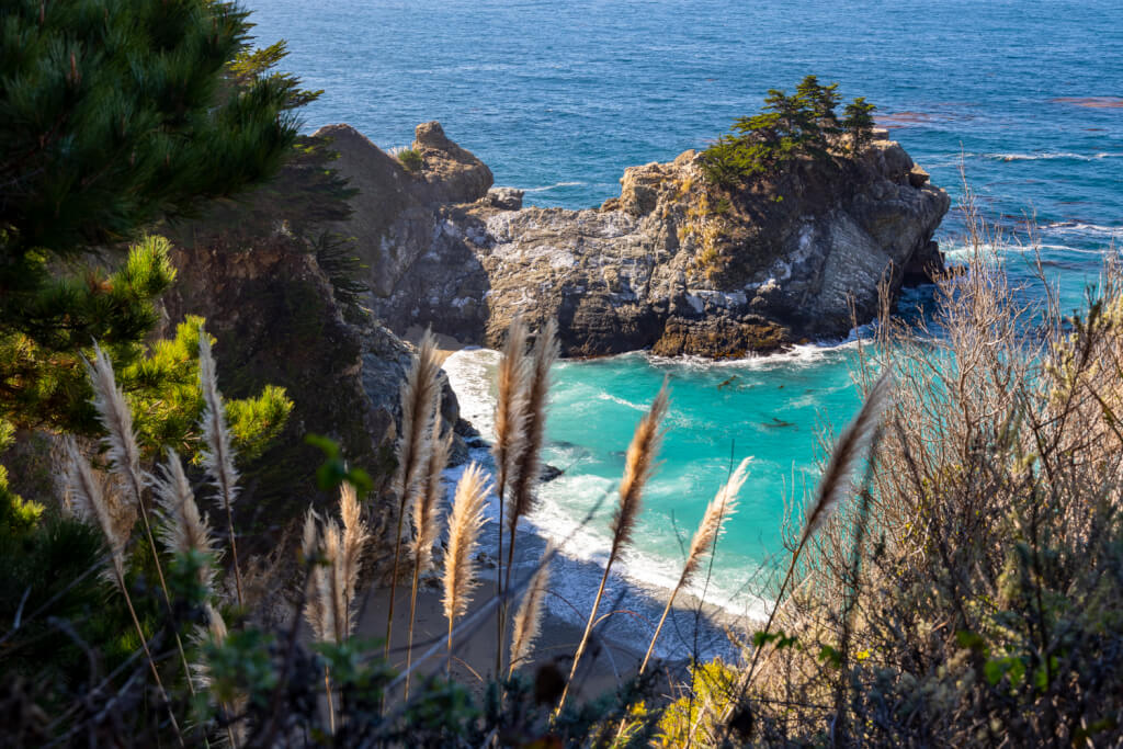 Living It Up in California - Introduction