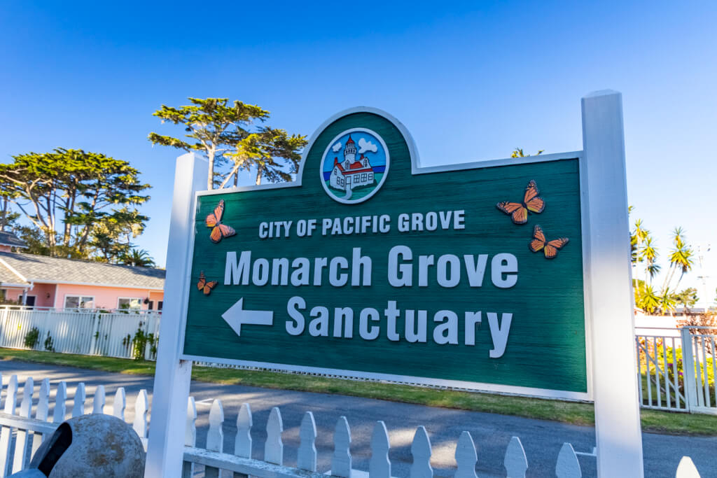 Pacific Grove Monarch Butterfly Sanctuary