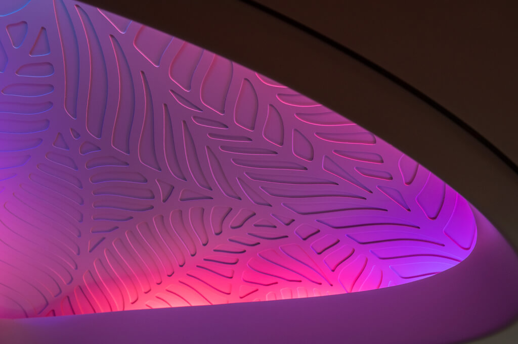 Hawaiian 787 Interior Main Cabin