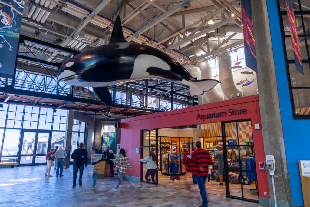 Monterey Bay Aquarium