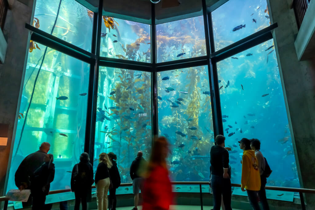 Monterey Bay Aquarium