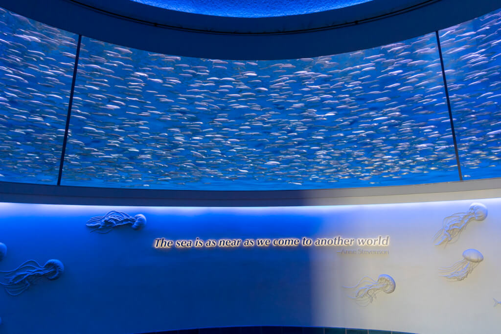 Monterey Bay Aquarium
