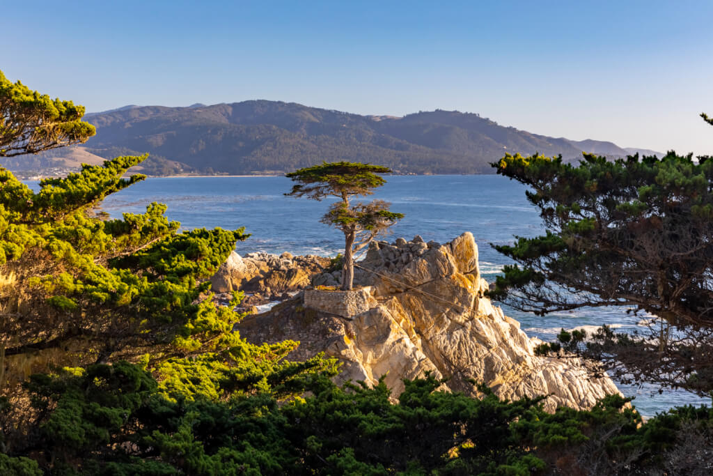 Exploring the Pebble Beach 17-Mile Drive