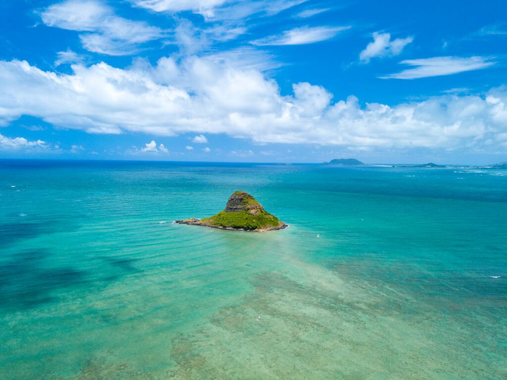 Offshore Rescues Are Up On Oahu