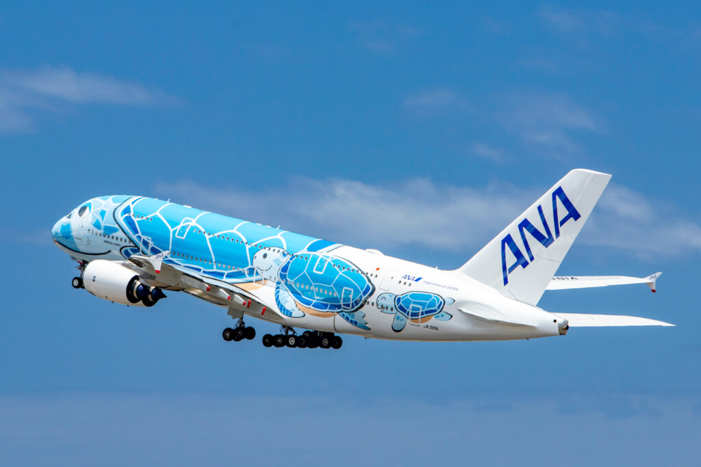 Enter: Journey with Flying Honu Sweepstakes