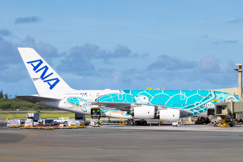 ANA Flying Honu