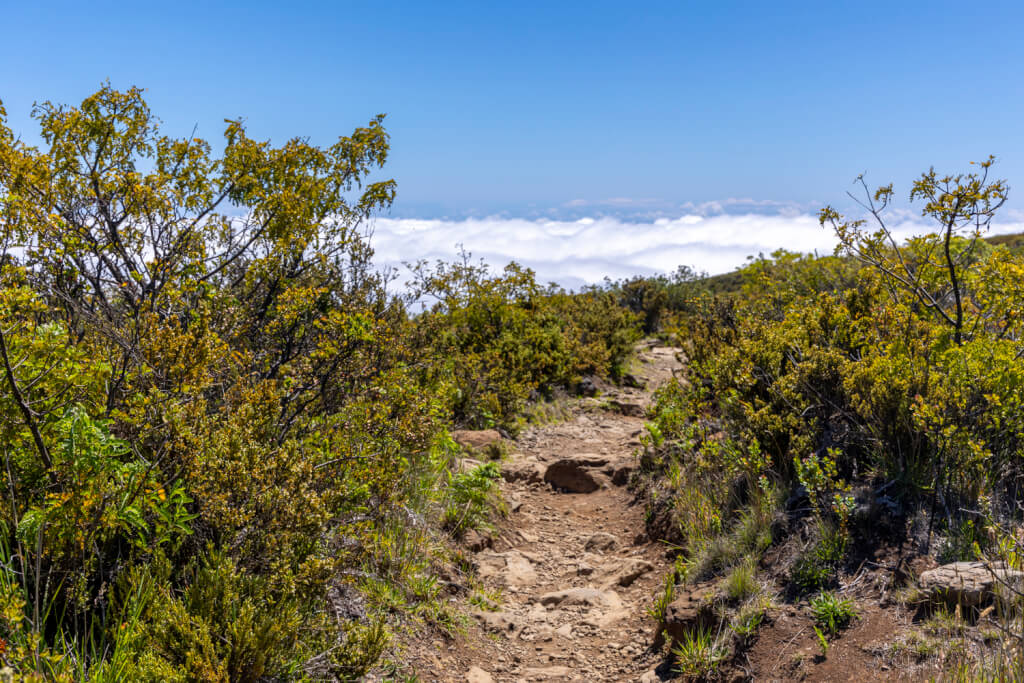 Day of Hiking in Haleakalā National Park - Halemau