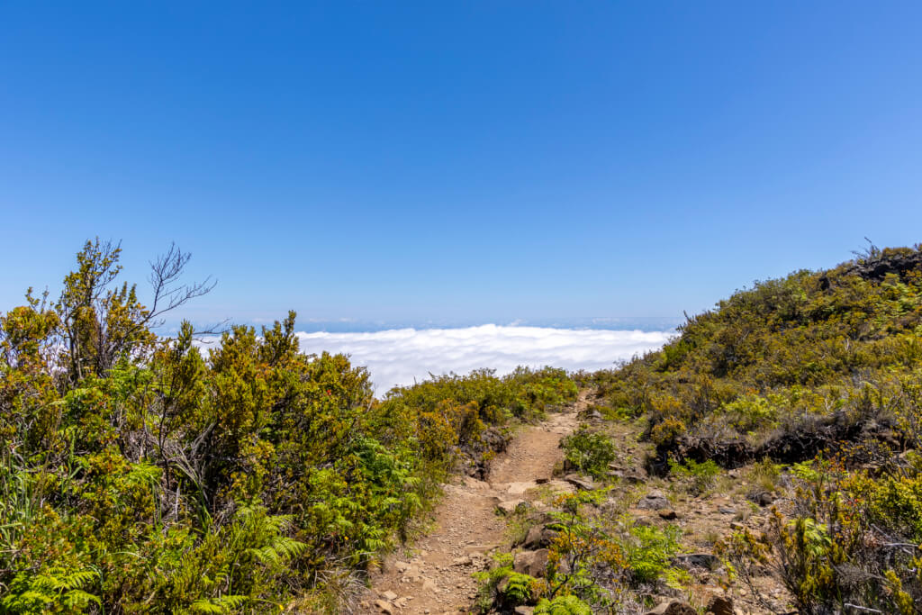 Day of Hiking in Haleakalā National Park - Halemau