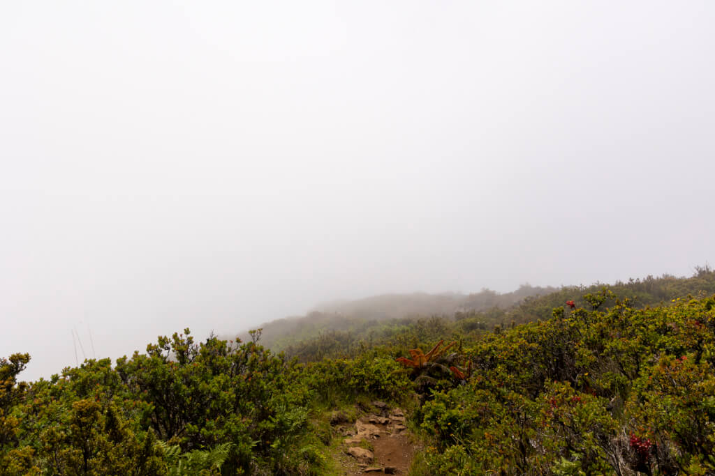Day of Hiking in Haleakalā National Park - Halemau