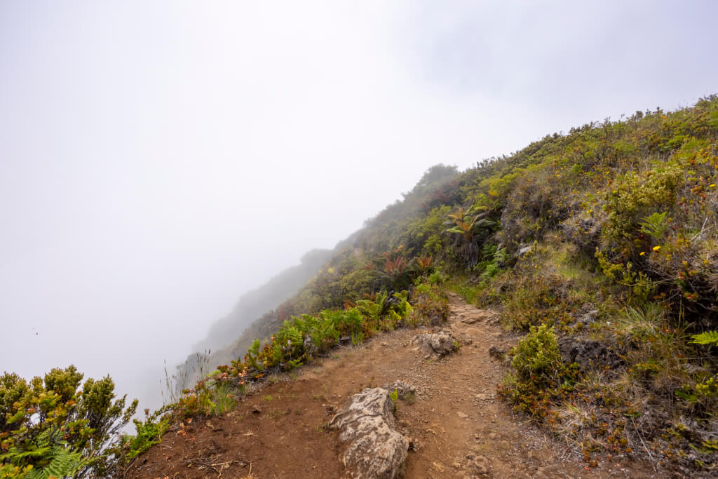 Day of Hiking in Haleakalā National Park - Halemau