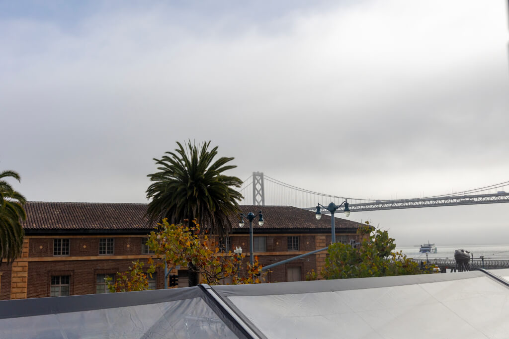 1 Hotel SF room 206 view