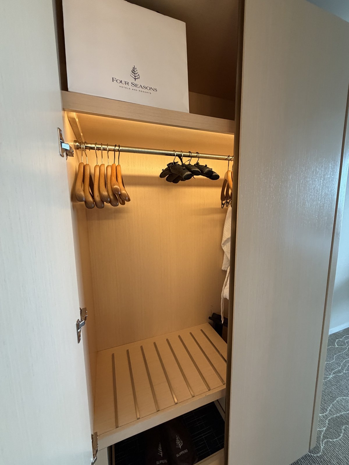 The closet and dressing area with the robe
